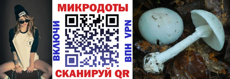 Галлюциногенные грибы GOLDEN TEACHER  Клин 